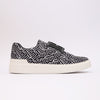 Balmain premium black and White Sneakers