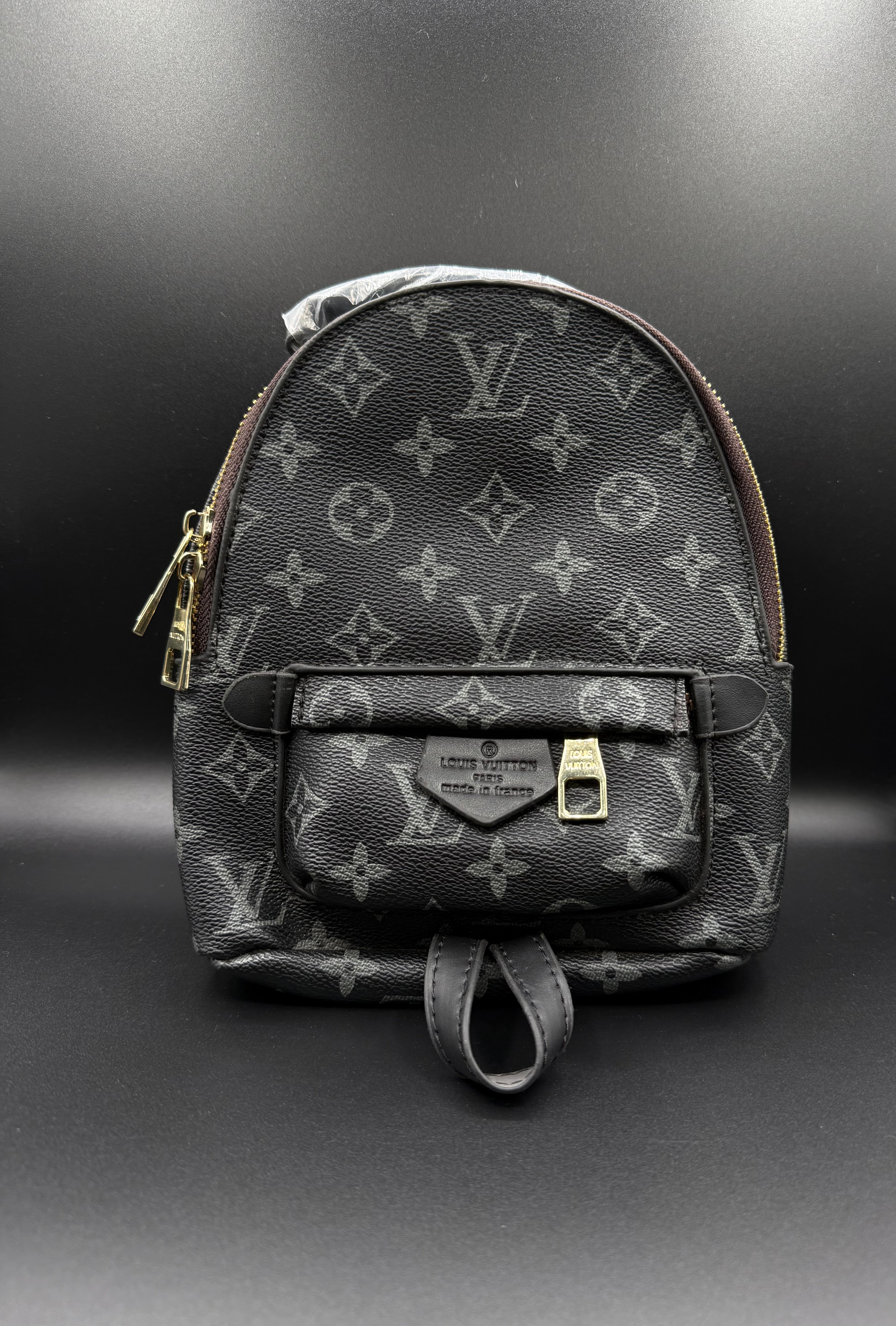 IMG_1672 LV-Inspired Monogram Eclipse Palm Springs Mini Backpack - Image 3