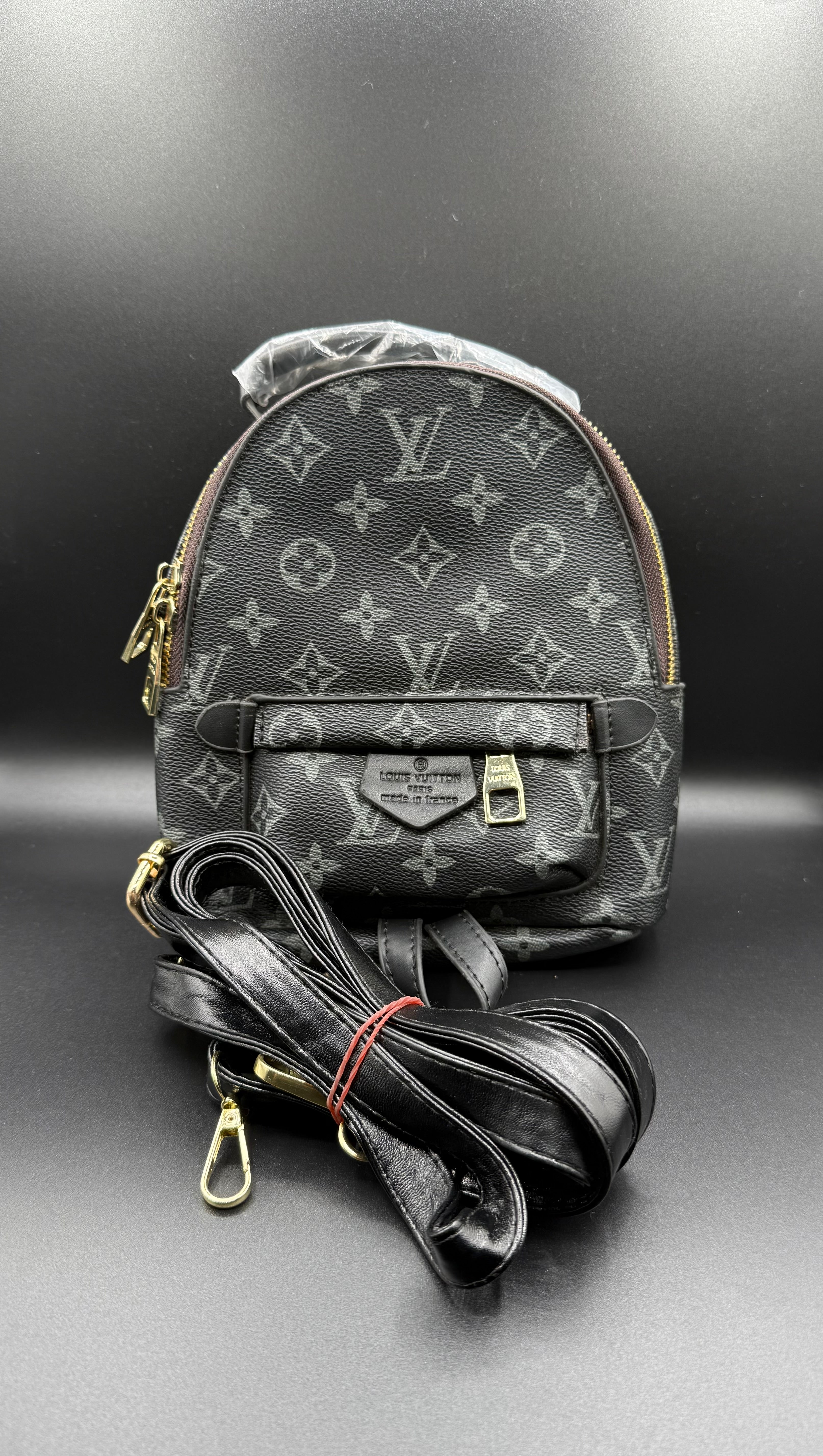 IMG_1675 LV-Inspired Monogram Eclipse Palm Springs Mini Backpack